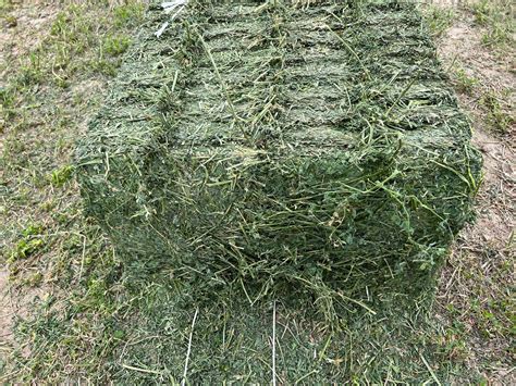 Alfalfa Hay | Ratzlaff Farms