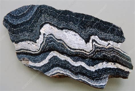 Folded strata in gneiss rock - Stock ... | Gneiss, Minerals crystals ...