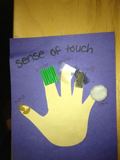 five sense worksheet: NEW 729 FIVE SENSES PRESCHOOL ART IDEAS