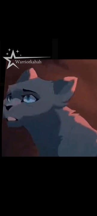 Warrior cats.Sol.Firestar.Jayfeather.Lionblaze.Hollyfeaf.Skrouge.Bluestar#edit#dlaciebie# ...