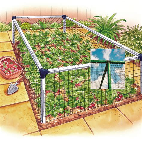 Strawberry Cage Deluxe - 3'x 30' from Mr Fothergill's Seeds and Plants