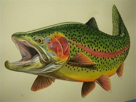 Awesome painting by James Prosek. | Fly fishing art, Trout art, Fish art