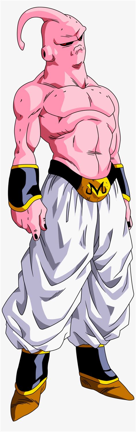 Dragon Ball Z Majin Buu Forms