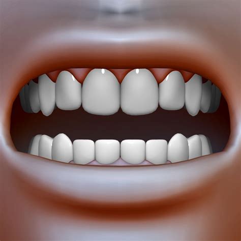 Teeth 3D Model $8 - .3ds .fbx .ma .max .obj .c4d .ztl - Free3D