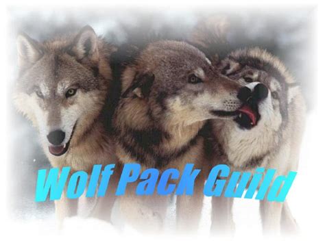 The Alaskan Wolf Pack's Webpage