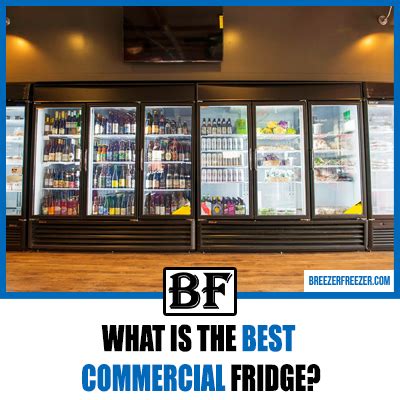 What Is The Best Commercial Fridge? (2024, November)