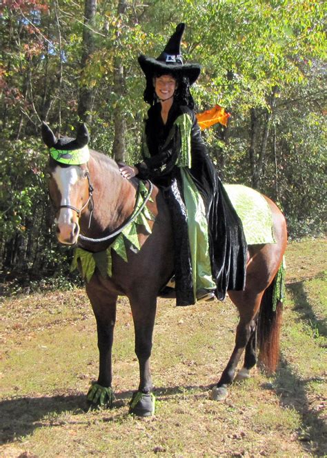 Check out some great horse costume ideas, and try out a tasty horse treat to serve on Halloween ...