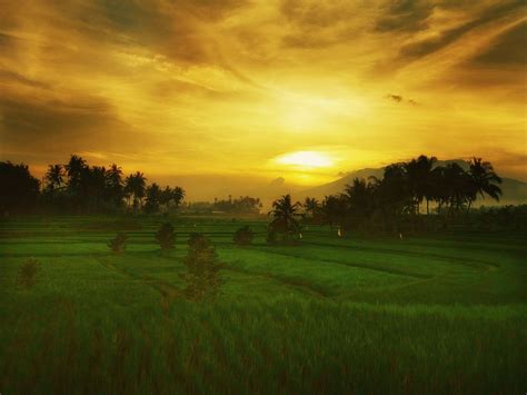 Download Gambar Pemandangan Pagi Hari Terbaru | Pemandangan33