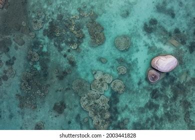 Coral Reef Drone Aerial Birds Eye Stock Photo 2003441828 | Shutterstock