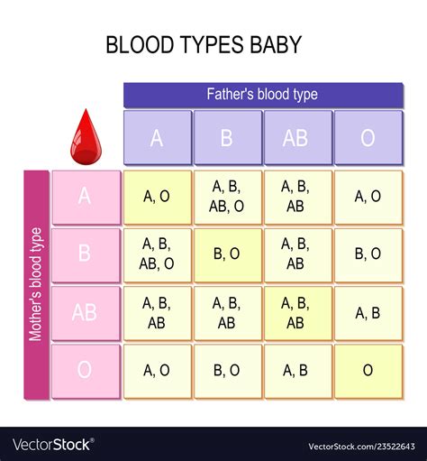 Blood Types Explained Chart