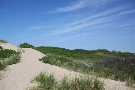 Cape Cod National Seashore - Map & Menu