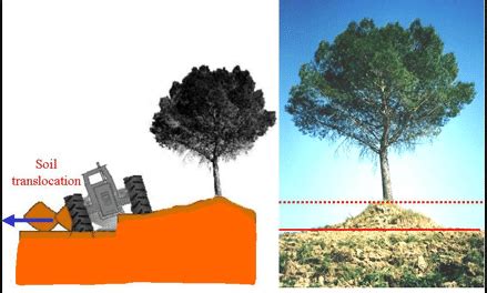 1 Tillage erosion caused by ploughing (P. Bazzoffi, pers. comm.) | Download Scientific Diagram