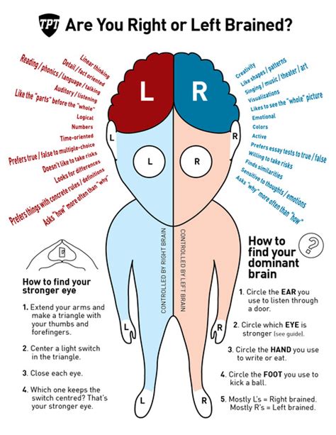 right brain vs left brain | eNotes Blog