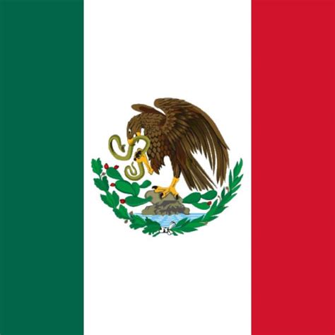 Mexican Flag/Bandera de México - Mexican Appetizers and More!