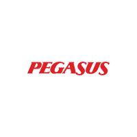 Pegasus Airlines Logo PNG - Brand Logo Vector