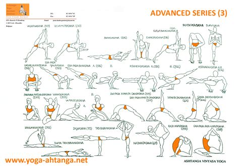 Advanced Vinyasa Yoga