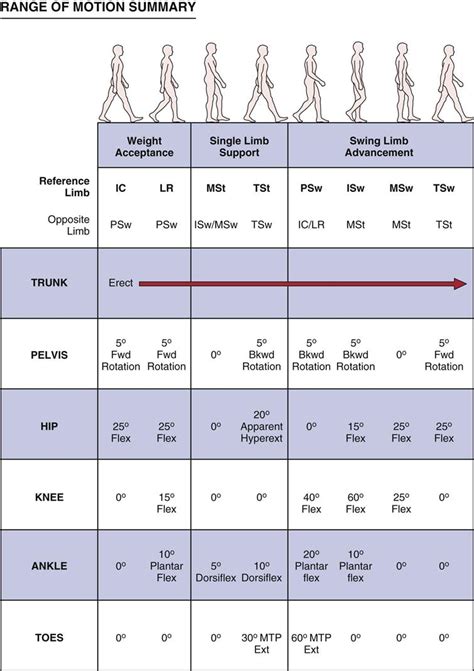 Assessment of Gait | Musculoskeletal Key