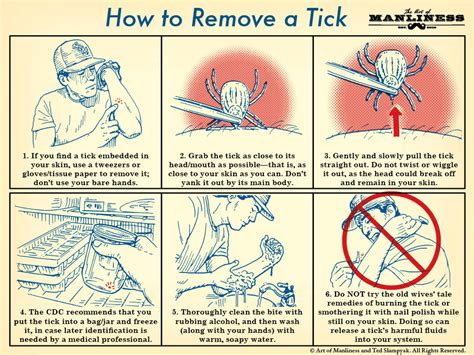 How To Remove a Tick - LewRockwell