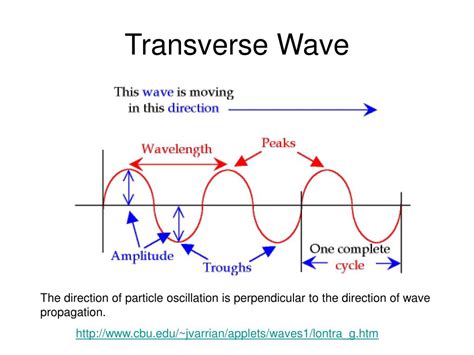 Diagram Of Transverse Wave