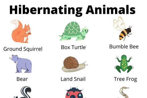 Hibernating Animals – Word Search Activity - Legacy Greenscapes