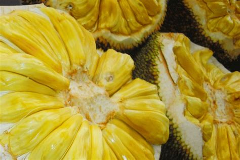 Jackfruit | Bariball Agriculture