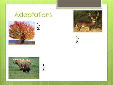 PPT - Biome Adaptations & Niches PowerPoint Presentation, free download - ID:2655272