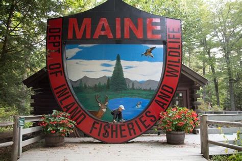 Wildlife park, Wildlife, Maine