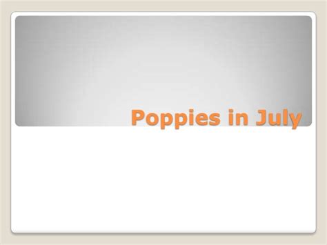 Poppies in july