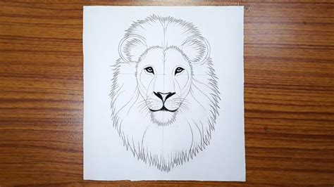 Lion Drawing Face