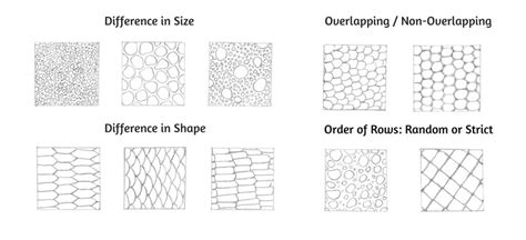 How to Draw Animal Scales