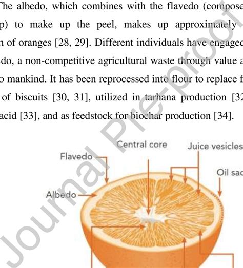 Parts of an orange fruit [35]. | Download Scientific Diagram