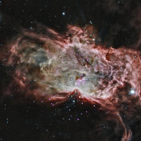 Inside the Flame Nebula | NASA