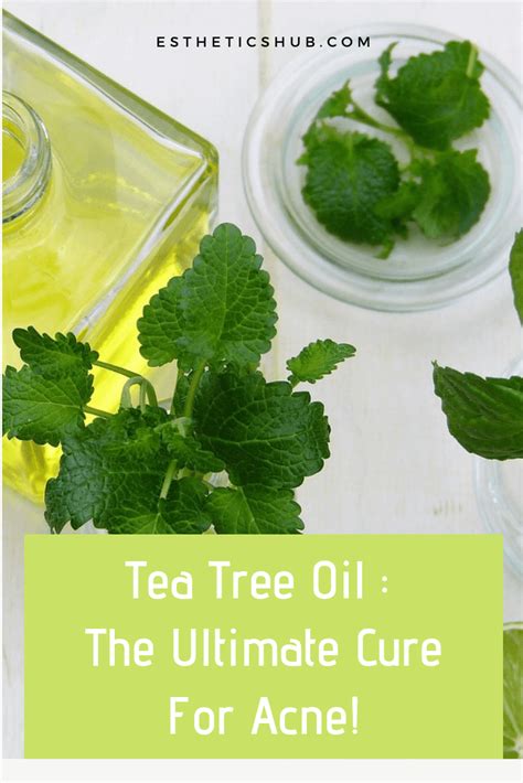 Tea Tree Oil For Acne : Best Way to Get Rid of Pimples EVER? » EstheticsHub