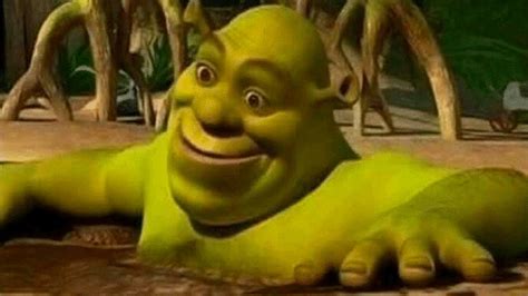 Shrek in a Mud Bath MEME GENERATOR TEMPLATE - SoupMemes