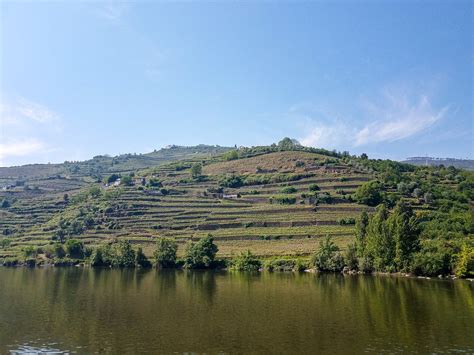 Douro River Cruise (Cruzeiro no Rio Douro)