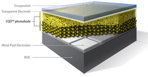 Image Sensors World: Quantum Dot SWIR Cameras