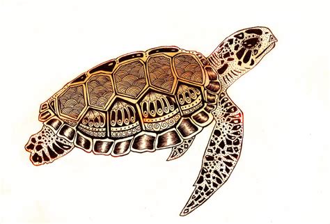 Sea Turtle by nadzie on DeviantArt