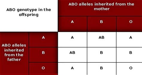 Genetics Of Blood Types Chart