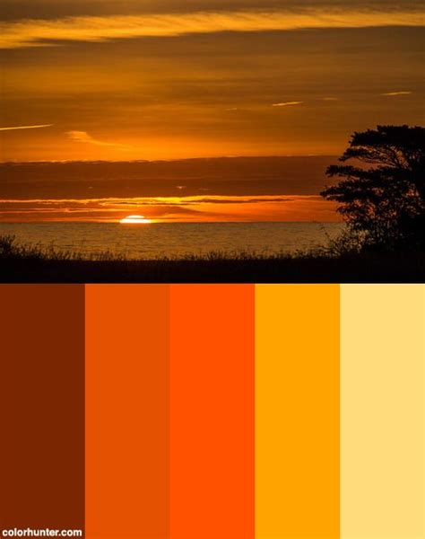 Sunset Color Scheme from colorhunter.com | Sunset color palette, Sunset colors, California colors