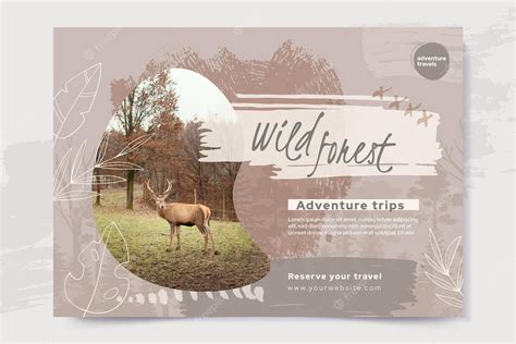 Free Vector | Wild forest banner template