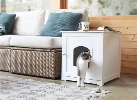 10 Pet Furniture Ideas That Will Fit Seamlessly in Any Home