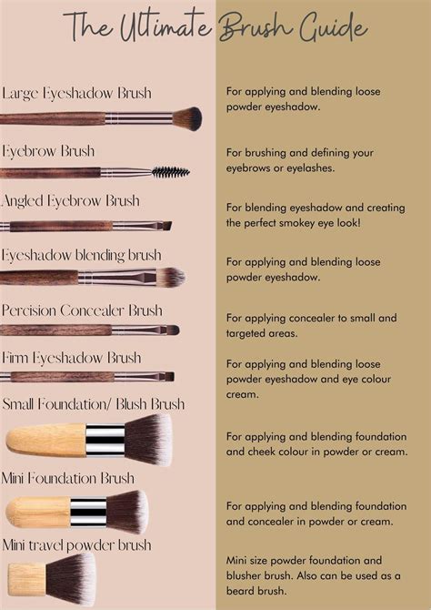 Eyeshadow Brushes Guide