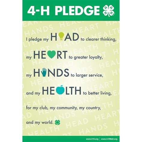 Laminated Pledge Poster