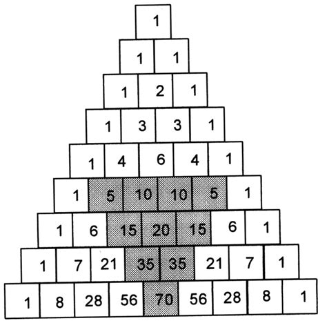 The Mathematical Tourist: Pascal's Patterns