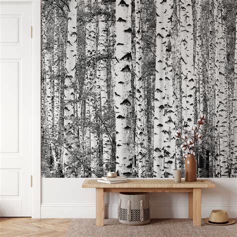 Birch trees black and white wallpaper - Happywall