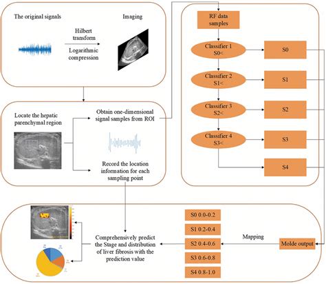 Schematic view of the liver fibrosis prediction system. | Download Scientific Diagram