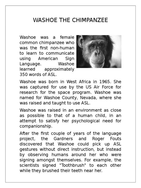 Washoe the Chimpanzee | Psychology & Cognitive Science | Cognition