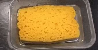 Sponge In Reverse GIF - Sponge SpongeReverse SpongeRewind - Discover & Share GIFs