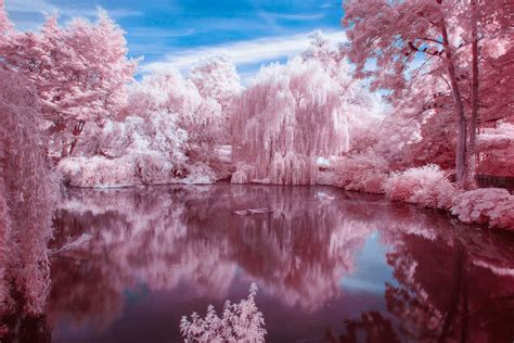 HOYA | Reviews - Infrared photography with the HOYA R72 filter