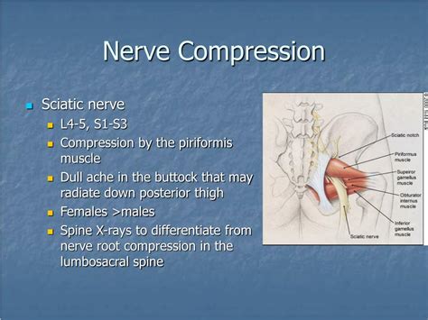 Meralgia Paresthetica Lateral Femoral Cutaneous Nerve